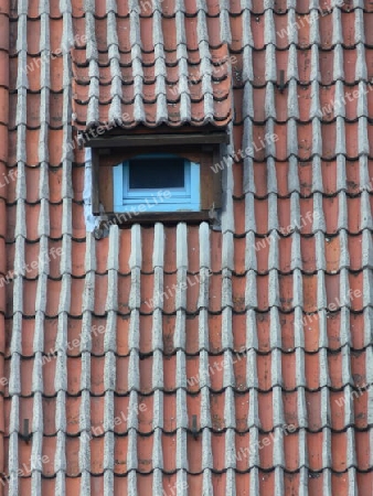 Ziegeldach mit Gaubenfenster