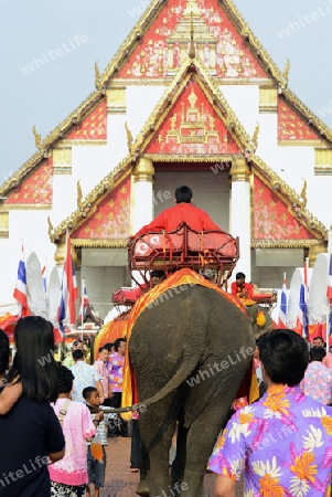 Das Songkran Fest oder Wasserfest zum Thailaendischen Neujahr ist im vollem Gange in Ayutthaya noerdlich von Bangkok in Thailand in Suedostasien.  