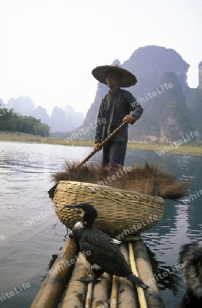 the landscape at the Li River near Yangshou near the city of  Guilin in the Province of Guangxi in china in east asia. 