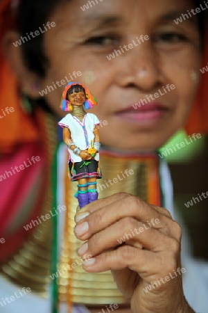 Eine Traditionell gekleidete Langhals Frau eines Paudang Stammes aus Burma lebt in einem Dorf noerdlich von Chiang Mai in Nord Thailand. 