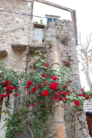 Mallorca romantisch Haus Blumen