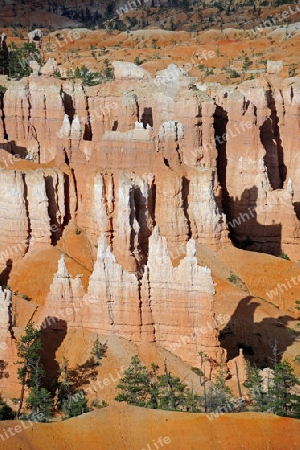 Felsformationen und Hoodoos im Bryce Canyon Nationalpark, waehrend Sonnenuntergang, Sunset Point, Utah, Suedwesten, USA