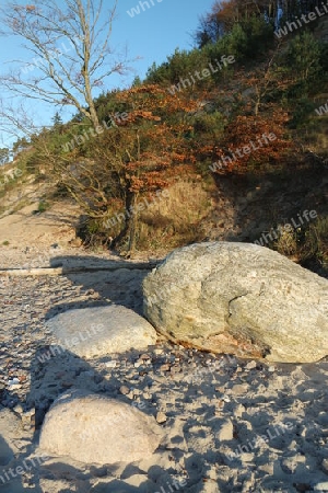 Herbst im Nationalpark Wolin