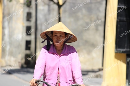 Schatten - Vietnam