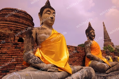 Der Wat Yai Chai Tempel in der Tempelstadt Ayutthaya noerdlich von Bangkok in Thailand.