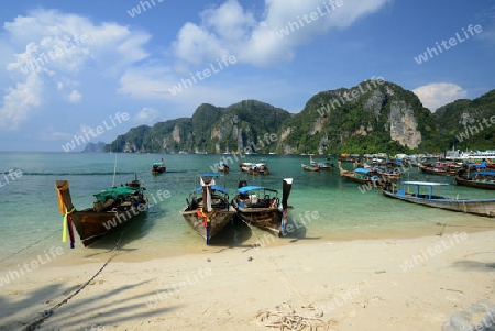 A Beach in the Town of Ko PhiPhi on Ko Phi Phi Island outside of  the City of Krabi on the Andaman Sea in the south of Thailand. 