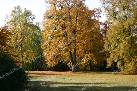 Im Neuen Garten Potsdam