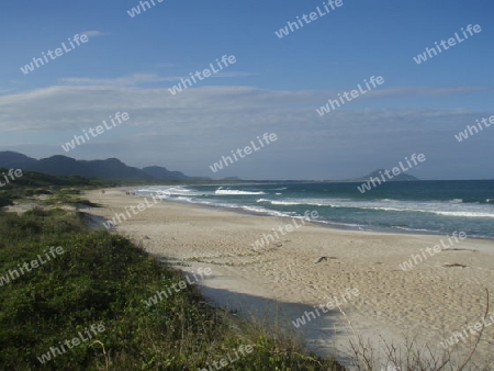 Strand - Florianopolis