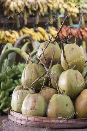 Cocosnut in a Fruit market in a Market near the City of Yangon in Myanmar in Southeastasia.