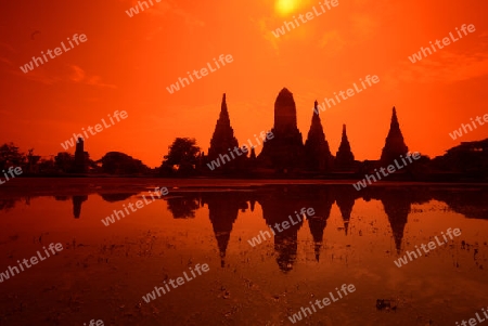 The Wat Chai Wattanaram Temple in City of Ayutthaya in the north of Bangkok in Thailand, Southeastasia.