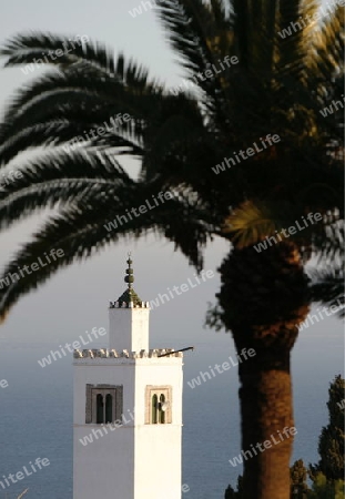 Afrika, Nordafrika, Tunesien, Tunis
Die Moschee mit dem Minarett in Altstadt von Sidi Bou Said am Mittelmeer und noerdlich der Tunesischen Hauptstadt Tunis.






