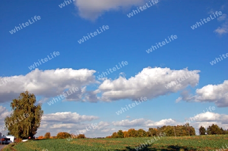 Wolken und buntes Laub