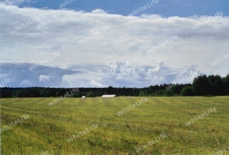 Wolkenfront