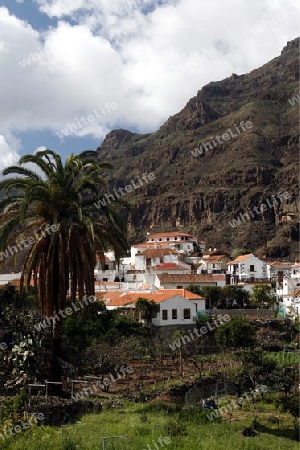 the  mountain Village of  Fataga in the centre of the Canary Island of Spain in the Atlantic ocean.