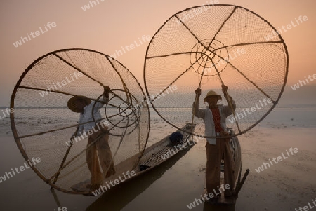 Fishermen at sunrise in the Landscape on the Inle Lake in the Shan State in the east of Myanmar in Southeastasia.