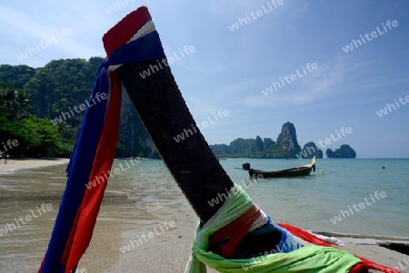 The Hat Tom Sai Beach at Railay near Ao Nang outside of the City of Krabi on the Andaman Sea in the south of Thailand. 