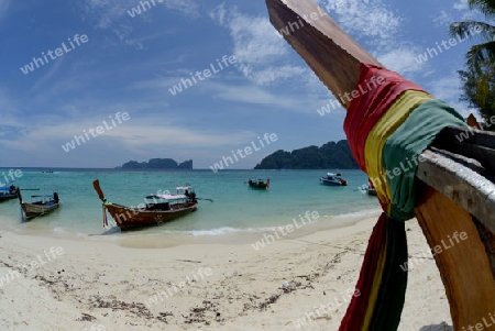 A Beach on the Island of Ko PhiPhi on Ko Phi Phi Island outside of the City of Krabi on the Andaman Sea in the south of Thailand. 