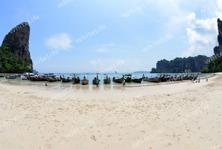 The Hat Railay Leh Beach at Railay near Ao Nang outside of the City of Krabi on the Andaman Sea in the south of Thailand. 