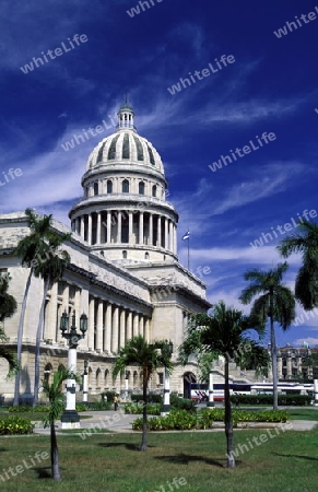 the capitolio National in the city of Havana on Cuba in the caribbean sea.