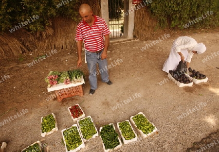 A Farmer Shop on the road near the City of Salt in Jordan in the middle east.