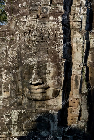 Stone Faces the Tempel Ruin of Angkor Thom in the Temple City of Angkor near the City of Siem Riep in the west of Cambodia.