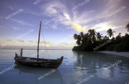 
Der Traumstrand mit Palmen und weissem Sand an der Insel Velavaru im Southmale Atoll auf den Inseln der Malediven im Indischen Ozean.   