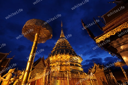 Der Chedi der Tempel Anlage des Wat Phra That Doi Suthep bei Chiang Mai in der Provinz Chiang Mai im Norden von Thailand in Suedostasien.