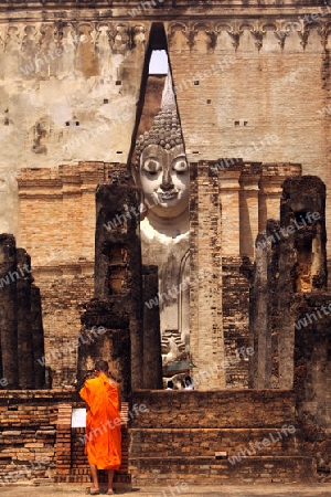 Die Buddha Figur  im Wat Si Chum Tempel in der Tempelanlage von Alt-Sukhothai in der Provinz Sukhothai im Norden von Thailand in Suedostasien.