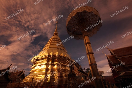 Der Chedi der Tempel Anlage des Wat Phra That Doi Suthep bei Chiang Mai in der Provinz Chiang Mai im Norden von Thailand in Suedostasien.