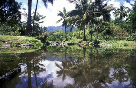 the mountain Landscape on the Island of Anjouan on the Comoros Ilands in the Indian Ocean in Africa.   