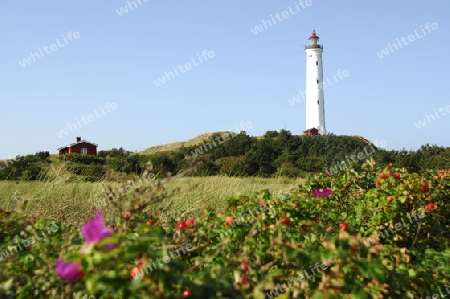 Leuchtturm in den D?nen