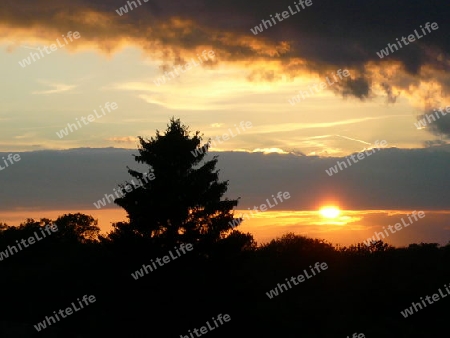 Sonne, Wolken, Tanne