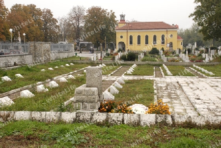 Grave stones