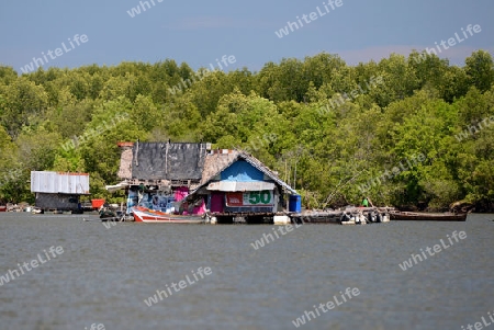 A fishing Village on a lagoon near the City of Krabi on the Andaman Sea in the south of Thailand. 