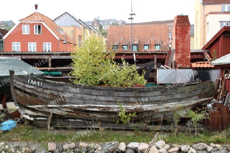 Boot mit Baum