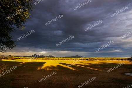 Abendstimmung Kalahari