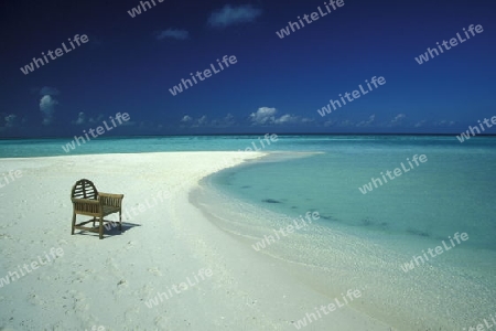 
Der Traumstrand mit Palmen und weissem Sand an der Insel Velavaru im Southmale Atoll auf den Inseln der Malediven im Indischen Ozean.   