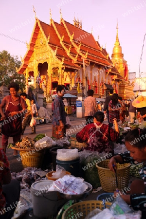 Der Markt vor dem Wat Mung Muang am Morgen in der Altstadt von Chiang Rai in der Provinz chiang Rai im Norden von Thailand in Suedostasien.