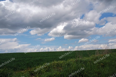 Wolken und gr?nes Feld