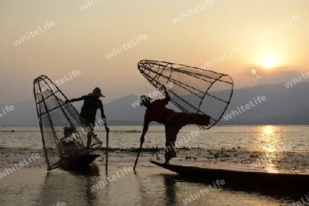 Fishermen at sunrise in the Landscape on the Inle Lake in the Shan State in the east of Myanmar in Southeastasia.