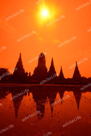 The Wat Chai Wattanaram Temple in City of Ayutthaya in the north of Bangkok in Thailand, Southeastasia.