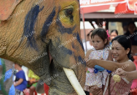 Das Songkran Fest oder Wasserfest zum Thailaendischen Neujahr ist im vollem Gange in Ayutthaya noerdlich von Bangkok in Thailand in Suedostasien.  