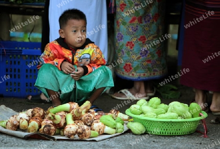 Der Wochenmarkt beim Dof Chiang Dao noerdlich von Chiang Mai im Norden von Thailand. 