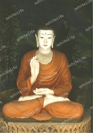 Buddha