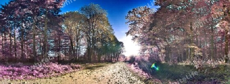 Beautiful pink and purple infrared panorama of a countryside landscape with a blue sky.