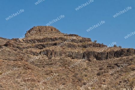 Vulkangestein auf Gran Canaria