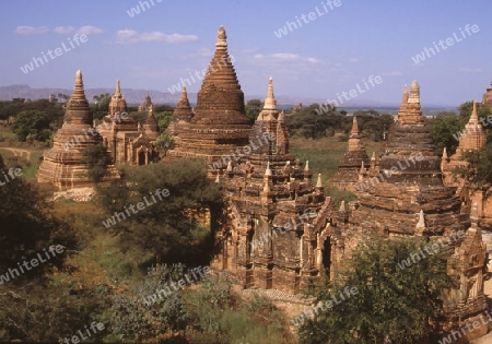 bagan