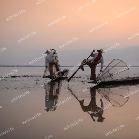 Fishermen at sunrise in the Landscape on the Inle Lake in the Shan State in the east of Myanmar in Southeastasia.