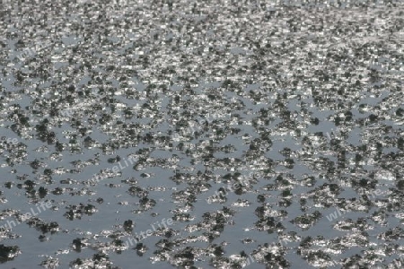 Wattenmeer bei Sylt