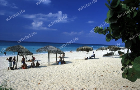 a beach on the coast of Varadero on Cuba in the caribbean sea.